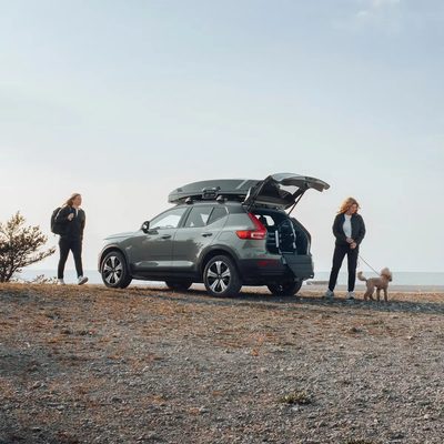 Gancho de correa para Jaula Transportadora Thule Allax (Par)