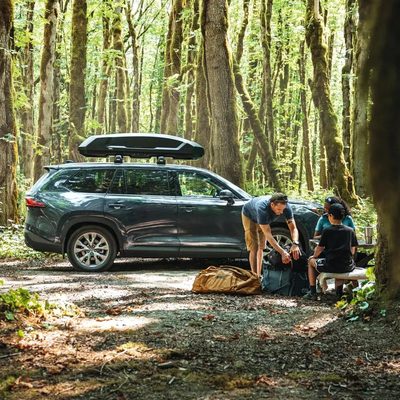 Caja Portaequipaje Thule Force 3 L Sport Negra