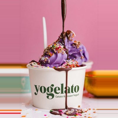 Frozen Yogurt
