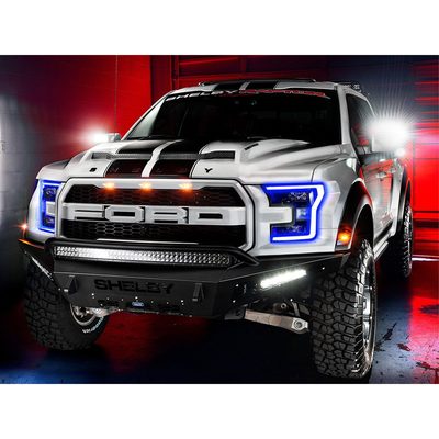Fits 2015-2019 Ford F150 (OLT-5816-001)