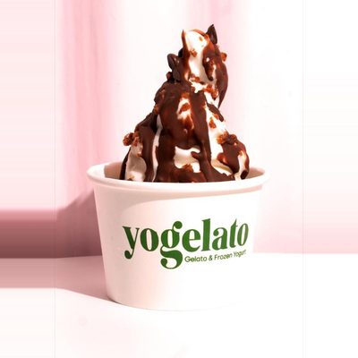 Frozen Yogurt