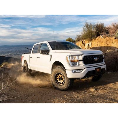 Fits 2021-2025 Ford F150 (BDS-1913FPE)