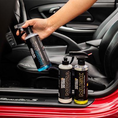 WASH&WHIPS Quick Detailing Pro Kit for Auto Detailing - 16-Piece Complete Car Care Set