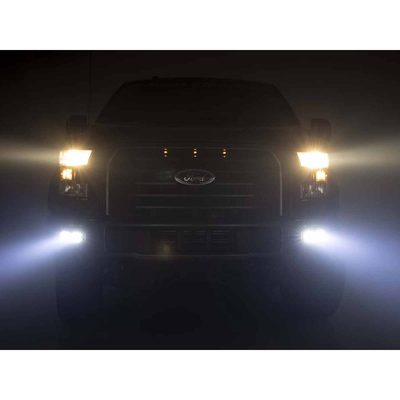 Fits 2015-2017 Ford F150 (RGH-70833)