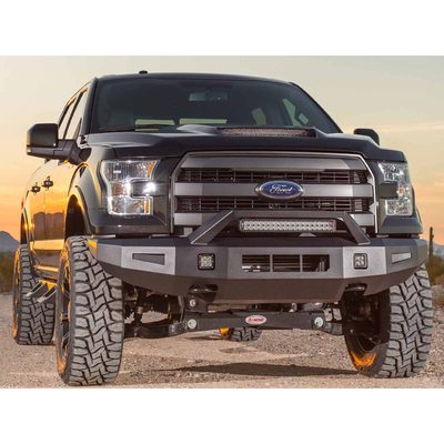 Fits 2015-2017 Ford F150 (ICI-AL-FBM84FDN-RT)