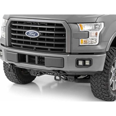 Fits 2015-2017 Ford F150 (RGH-70865)