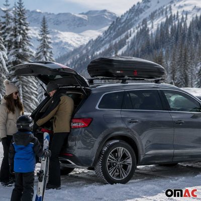 Roof Cargo Box 11.3 Cubic Feet Carbon Fiber Textured