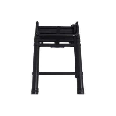 Evolution / Odyssey / Aspen V2 / Adventure Series - Telescoping Ladder