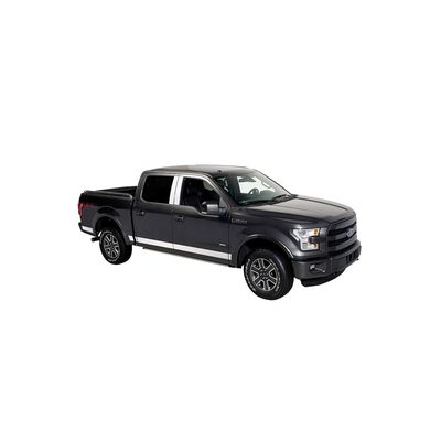 Fits 2015-2020 Ford F150, 6'7" Bed (PUT-9751445)