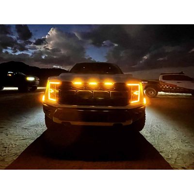 Fits 2021-2023 Ford F150 (ARX-880138-1)