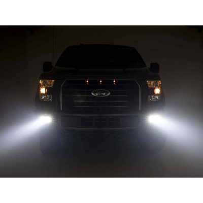 Fits 2015-2017 Ford F150 (RGH-70865)