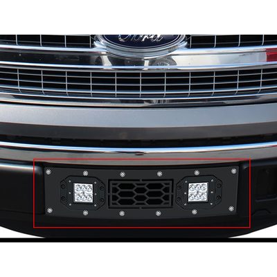 Fits 2009-2014 Ford F150 (APS-GR06LFG89L)