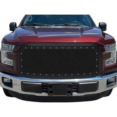 Fits 2015-2017 Ford F150 (APS-GR06PFC10H)