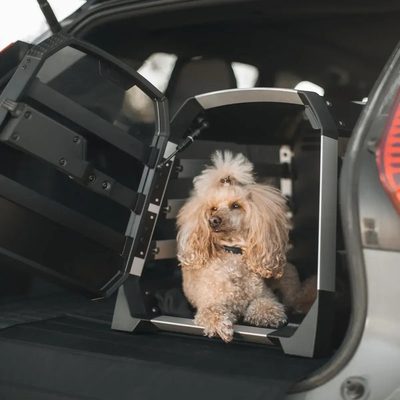 Jaula Transportadora para Mascotas Thule Allax S