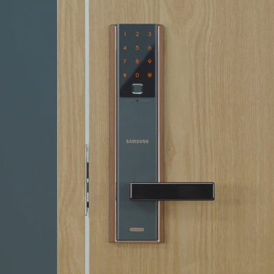 Cerradura de Huella Digital Biométrica SHP DH538