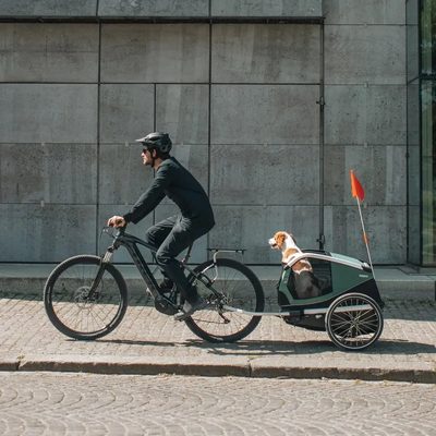 Remolque para mascotas Thule Bexey (M)
