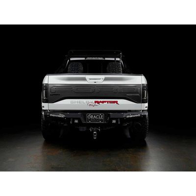 Fits 2015-2020 Ford F150 (OLT-5913-504-T)