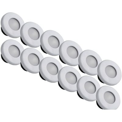 Courtesy Light White/Blue/White 12-Pack