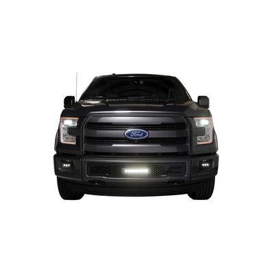 Fits 2015-2017 Ford F150 (PUT-88160L)
