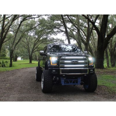 Fits 2015-2017 Ford F150 (SIC-SDG-F1517P-BAWSL)