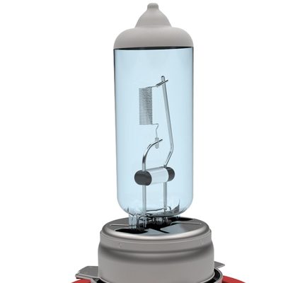 H11 Halogen Light Bulbs