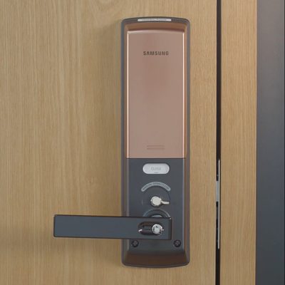 Cerradura de Huella Digital Biométrica SHP DH538