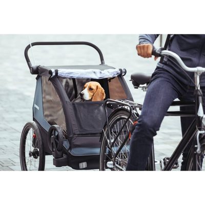 Thule Courier