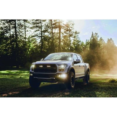 Rigid D-series Pro - Driving - Par