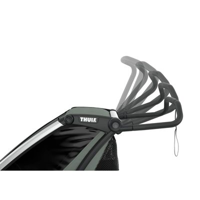 Thule Chariot Lite 2 Aluminio / Agave