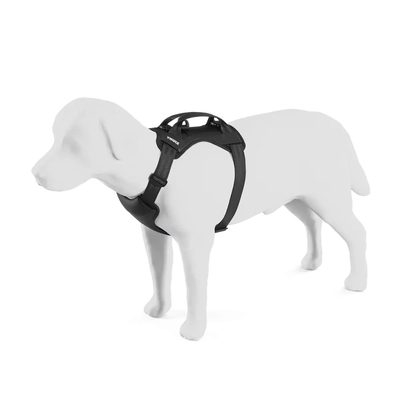 Arnes de auto para perro Thule Cappy (L)