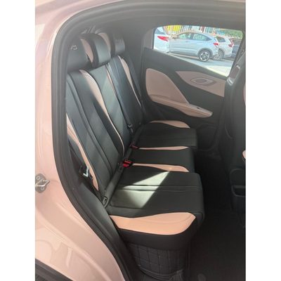 Byd Dolphin Mini 5 SEATS 380KM 2026