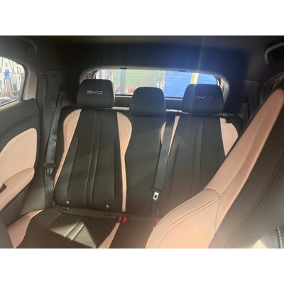 Byd Dolphin Mini 5 SEATS 380KM 2026