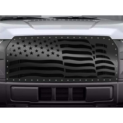Fits 2009-2014 Ford F150 (3IL-4993)
