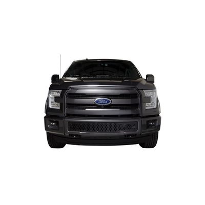 Fits 2015-2017 Ford F150 (PUT-88160)