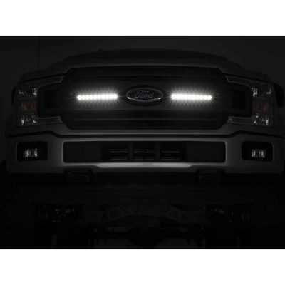 Fits 2018-2020 Ford F150 (RGH-70808)