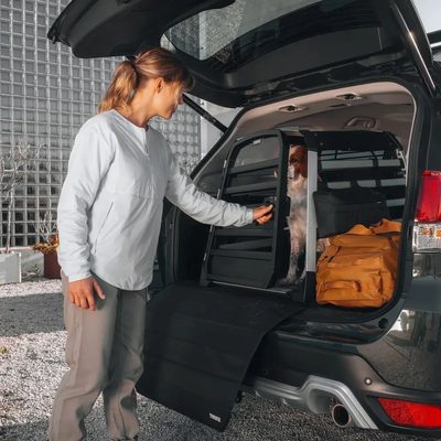 Jaula Transportadora para Mascotas Thule Allax XS