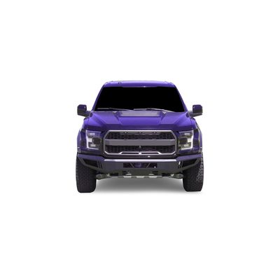 Fits 2017-2020 Ford F150 Raptor (BLK-AFB-F1RA-17)