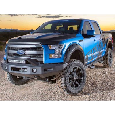Fits 2015-2017 Ford F150 (ICI-AL-FBM84FDN-RT)