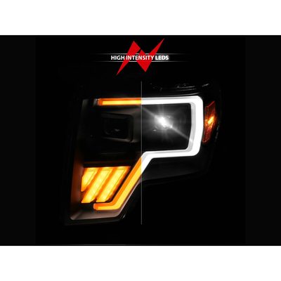 Fits 2009-2014 Ford F150, 2010-2014 F150 Raptor (ANZ-111629A)