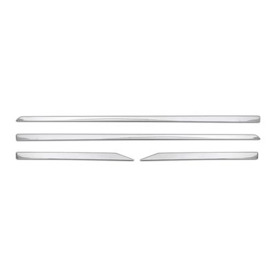 2011-2017 Lexus CT 200h Side Door Molding Trim Skirt Garnish Stainless Steel 4x