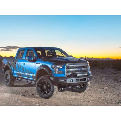 Fits 2015-2017 Ford F150 (ICI-AL-FBM84FDN-RT)