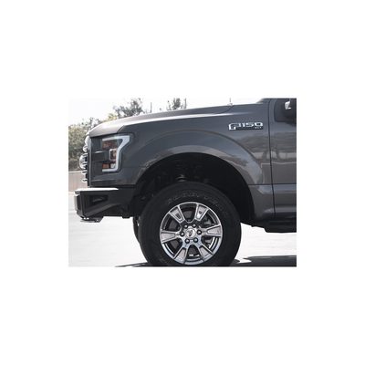 Fits 2015-2017 Ford F150 (AMD-7161962)