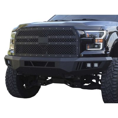 Fits 2015-2017 Ford F150 (BDY-FD-19336)