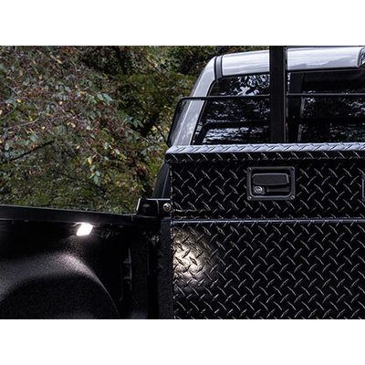Fits 2019-2026 Ram 1500 (BKR-30167TB31)