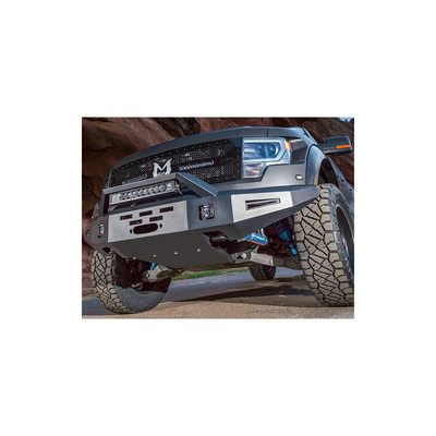 Fits 2010-2014 Ford F150 Raptor (ICI-AL-FBM50FDN-RT)