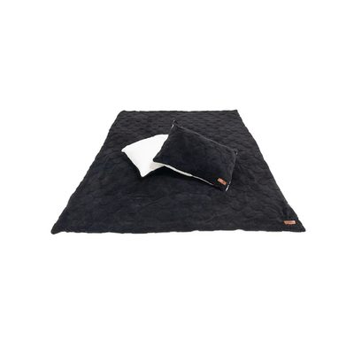 Cloud Comforter & Pillow Case Set