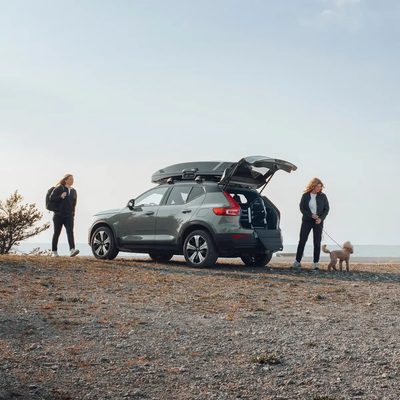 Jaula Transportadora para Mascotas Thule Allax L