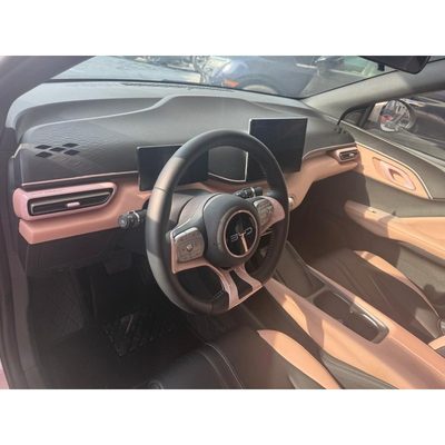 Byd Dolphin Mini 5 SEATS 380KM 2026