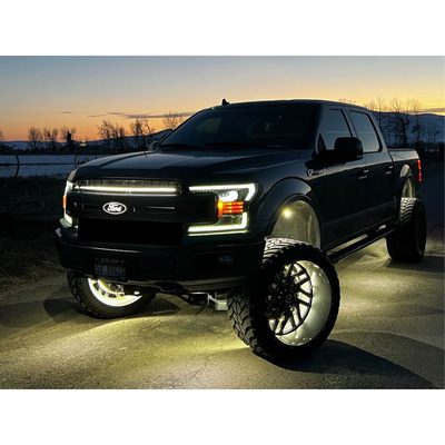 Fits 2018-2020 Ford F150 (SIC-SDG-F1820X-SAC)