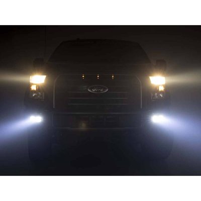 Fits 2015-2017 Ford F150 (RGH-70865)